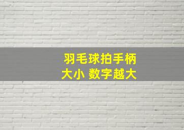 羽毛球拍手柄大小 数字越大